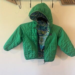 Patagonia Vibrant Green Hooded Jacket